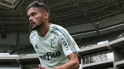 Cesar Greco/Palmeiras