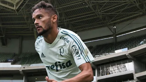 Cesar Greco/Palmeiras