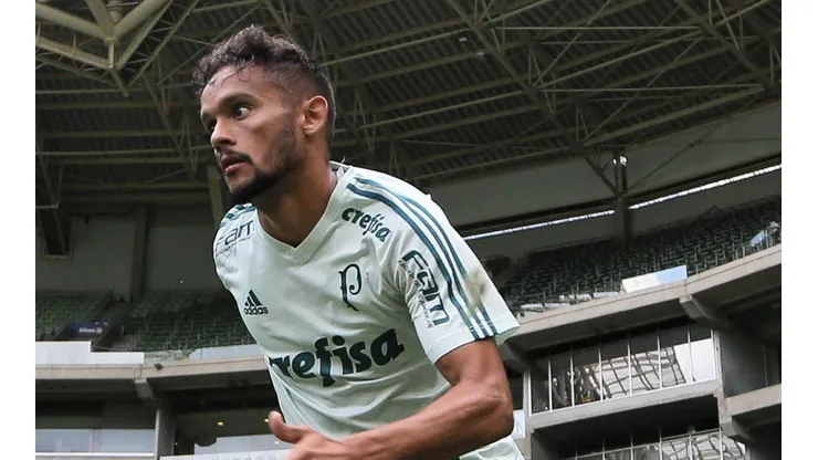 Cesar Greco/Palmeiras