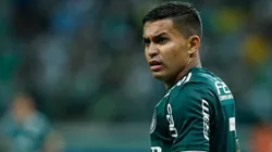 Divulgação/Palmeiras