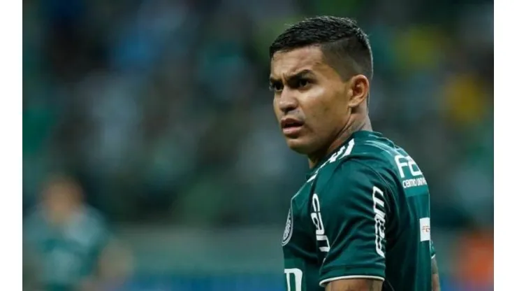 Divulgação/Palmeiras