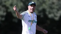 Cesar Greco/Palmeiras