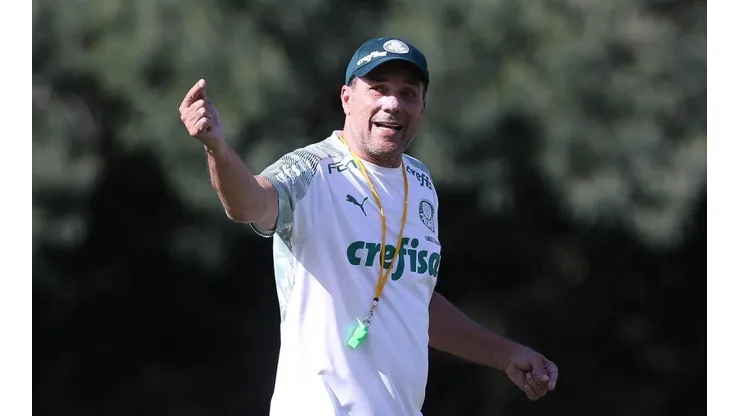 Cesar Greco/Palmeiras