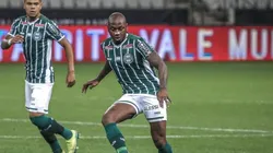 Divulgação/Coritiba