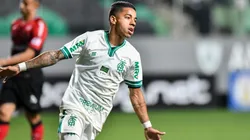 Foto: Mourão Panda/América-MG.