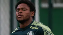 Cesar Greco/Palmeiras