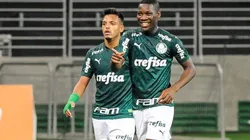 Foto: Cesar Greco/Palmeiras.