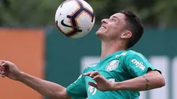 Foto: Divulgação/Palmeiras