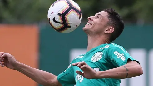 Foto: Divulgação/Palmeiras