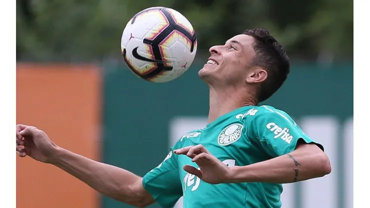 Foto: Divulgação/Palmeiras