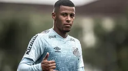 Foto: Ivan Storti/Santos FC