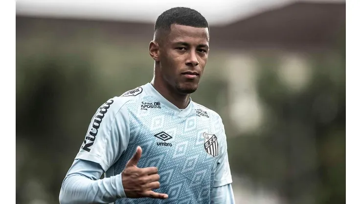 Foto: Ivan Storti/Santos FC