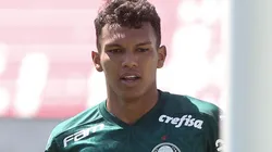 Cesar Greco/Palmeiras