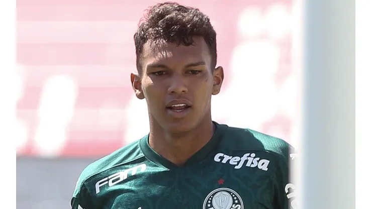 Cesar Greco/Palmeiras