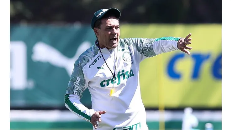 Cesar Greco/Palmeiras