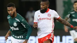 Palmeiras na espiral do caos