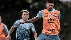 Foto: Ivan Storti/Santos FC.