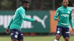 (Foto: Cesar Greco/Ag Palmeiras/Divulgação)