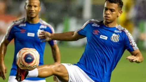 Foto: Ivan Storti/Santos FC.