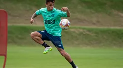 Foto: Alexandre Vidal/Flamengo/Divulgação