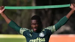 Foto: Cesar Greco/Palmeiras.