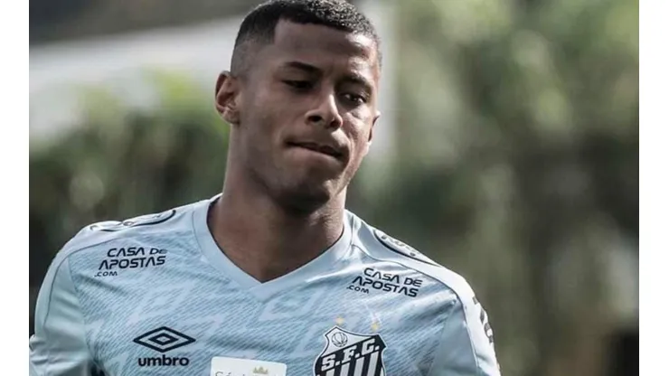 Foto: Ivan Storti/Santos FC.