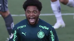 Foto: Cesar Greco/Palmeiras/Divulgação