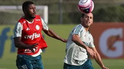 Foto: César Greco / Ag. Palmeiras