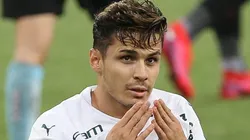 Cesar Greco/Palmeiras