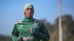 Matheus Sales faz Pelaipe acelerar buscas por um volante no mercado