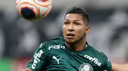 Rony barrado e 2 meias: Palmeiras mais "leve" quer surpreender o Santos