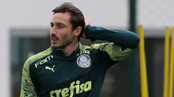 Cesar Greco/Palmeiras