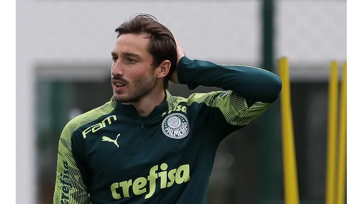 Cesar Greco/Palmeiras