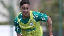 Divulgação/Palmeiras