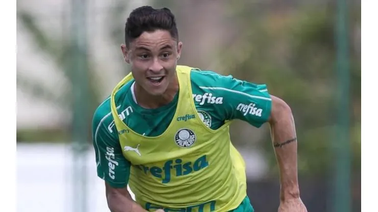 Divulgação/Palmeiras