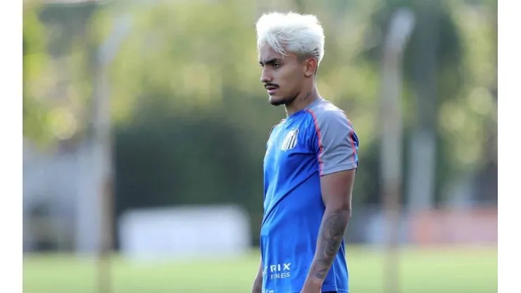 (Foto: Divulgação/SFC)
