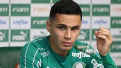 Cesar Greco/Palmeiras