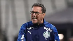 Cesar Greco/Palmeiras