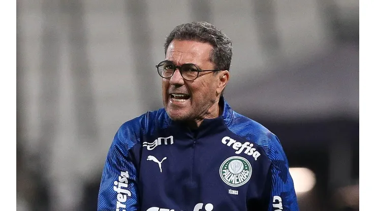 Cesar Greco/Palmeiras