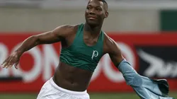 Foto: Cesar Greco/Palmeiras/Divulgação