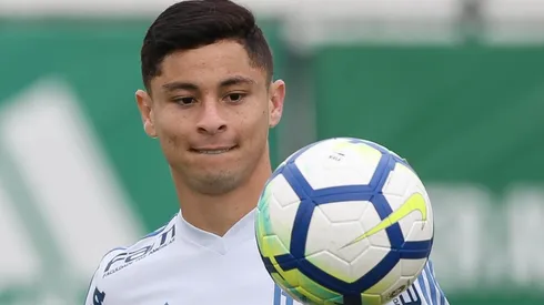 Cesar Greco/Palmeiras