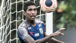 Foto: Ivan Storti/Santos FC.