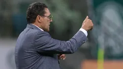 Cesar Greco/Palmeiras