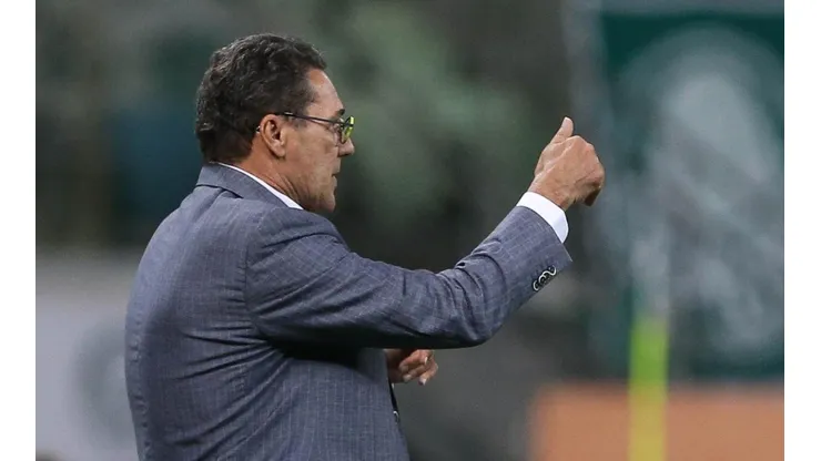 Cesar Greco/Palmeiras