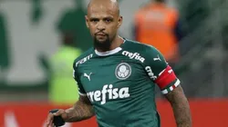 Cesar Greco/Palmeiras