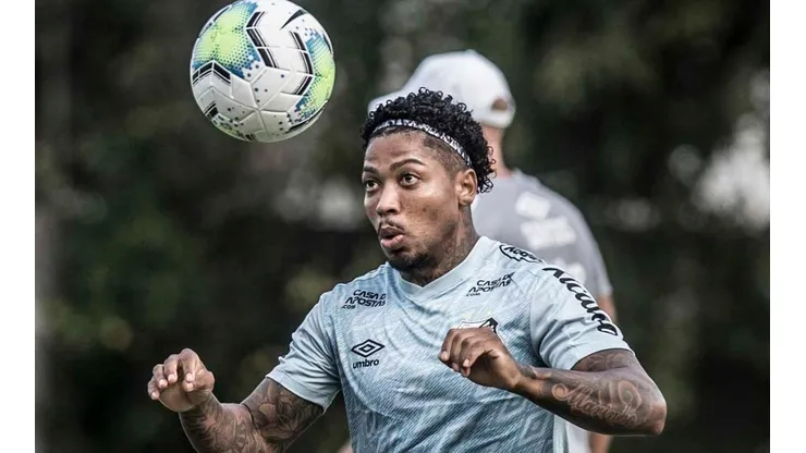 Foto: Ivan Storti/Santos FC