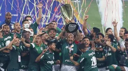 Cesar Greco/Palmeiras