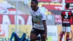 Fotos: Pedro Souza / Atlético / Divulgação