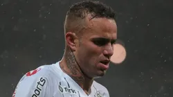 Neto não perdoa Luan por ausência em cobranças