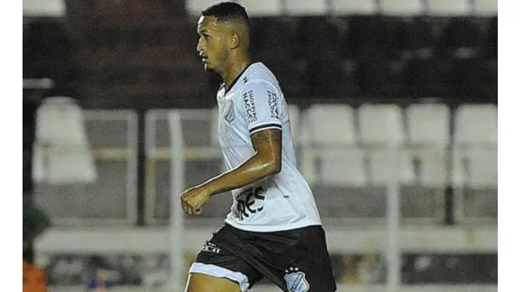 Divulgação